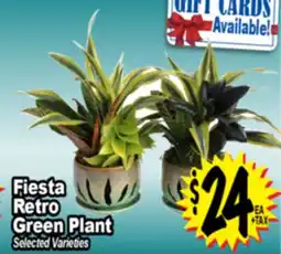 Superior Grocers Fiesta Retro Green Plant offer