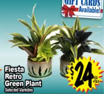 Superior Grocers Fiesta Retro Green Plant offer