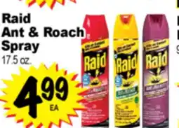 Superior Grocers Raid Ant & Roach Spray offer