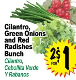 Superior Grocers Cilantro, Green Onions and Red Radishes Bunch offer