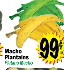 Superior Grocers Macho Plantains offer