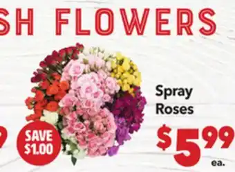 Vallarta Supermarkets Spray Roses offer