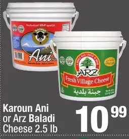 Super King Markets Karoun Ani or Arz Baladi Cheese offer