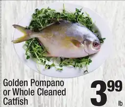 Super King Markets Golden Pompano or Whole Cleaned Catfish offer