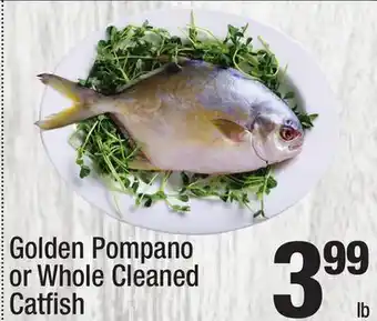 Super King Markets Golden Pompano or Whole Cleaned Catfish offer