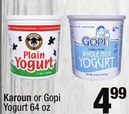 Super King Markets Karoun or Gopi Yogurt offer