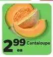 Save a Lot Cantaloupe offer