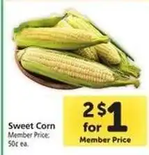Safeway Sweet Corn offer