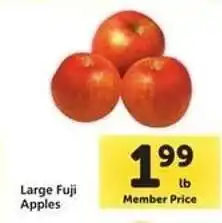 Safeway Large Fuji Apples offer