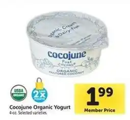 Safeway CoCoJune Organic Yogurt offer