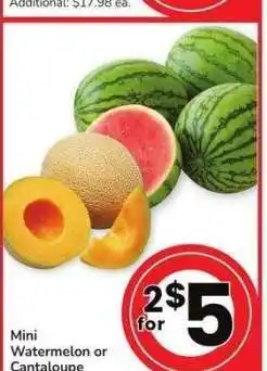 Albertsons Mini Watermelon or Cantaloupe offer