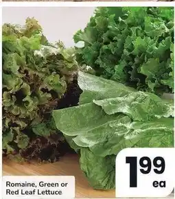 Albertsons Romaine, Green or Red Leaf Lettuce offer