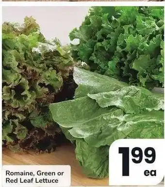 Albertsons Romaine, Green or Red Leaf Lettuce offer