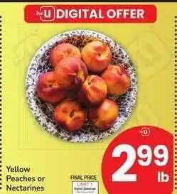 Albertsons Yellow Peaches or Nectarines offer