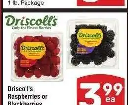 Albertsons Driscoll's Raspberries or Blackberries - 6 oz offer