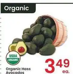 Albertsons Organic Hass Avocados offer