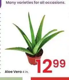 Albertsons Aloe Vera - 4 in offer