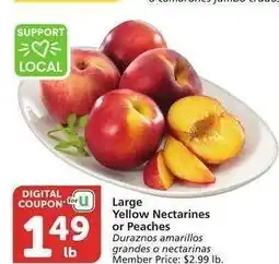 Albertsons Large Yellow Nectarines or Peaches - Member Price: $2.99 lb offer