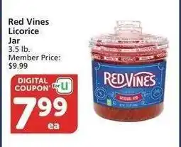Albertsons Red Vines Licorice Jar - 3.5 lb. Member Price: $9.99 offer
