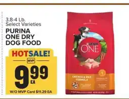 Food Lion Purina ONE Dry Dog Food offer