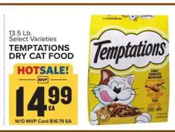 Food Lion Temptations Dry Cat Food offer