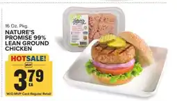 Food Lion Nature's Promise 99% Lean Ground Chicken offer