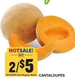 Food Lion Cantaloupes offer