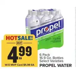 Food Lion Propel Water offer
