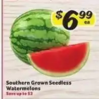 Winn Dixie Southern Grown Seedless Watermelons offer