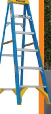 The Home Depot WERNER 6' Fiberglass Step Ladder Type offer