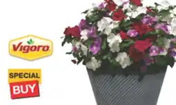The Home Depot VIGORO #14 Annual Planter offer