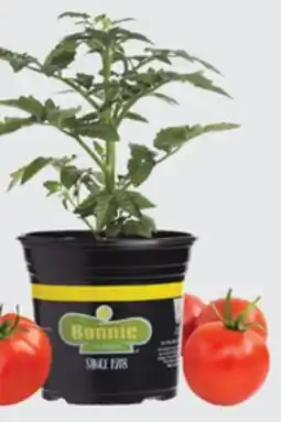 The Home Depot 1 Vegetables & Herbs offer
