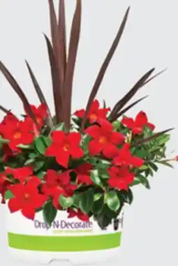 The Home Depot 10 Drop-N-Decorate offer