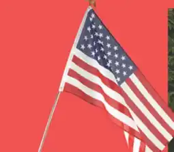 The Home Depot 3' x5' U.S Flag Kit offer