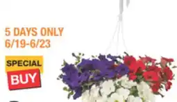 The Home Depot Classic Annual Hanging Basket annuals offer