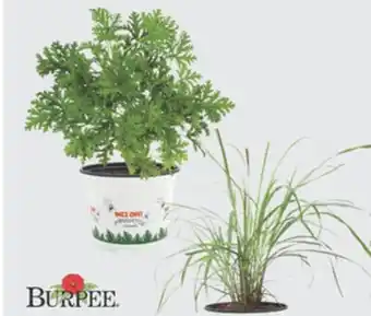 The Home Depot Buzz Off! offer