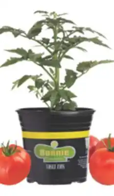The Home Depot BONNIE Gallon Vegetables & Herbs offer