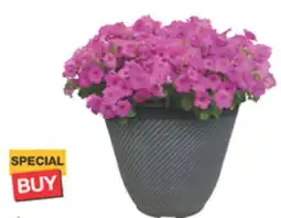 The Home Depot 14 Club Buster offer