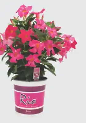 The Home Depot Rio Gallon Bin offer