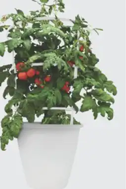 The Home Depot BURPEE 10 Vegetable Cage offer
