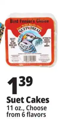 Ocean State Job Lot Bird Feeder's Choice High Energy Suet 11 oz offer