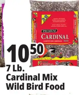 Ocean State Job Lot Better Bird Premium Cardinal Blend Bird Food 7 lbs offer