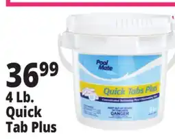 Ocean State Job Lot Pool Mate Quick Tabs Plus 4 lbs offer