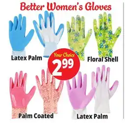 Ocean State Job Lot garden Gloves offer