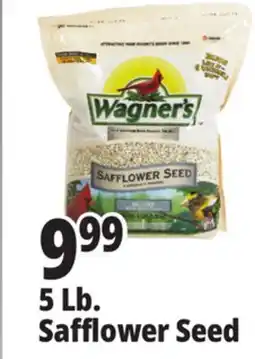 Ocean State Job Lot Wagner's Safflower Seed Deluxe Wild Bird Food offer