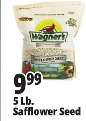 Ocean State Job Lot Wagner's Safflower Seed Deluxe Wild Bird Food offer