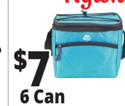 Ocean State Job Lot North Peak Insulated Cooler 6-Can offer