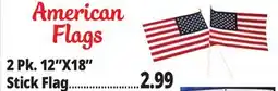 Ocean State Job Lot 2-Pack American Flag 12 x 18 offer