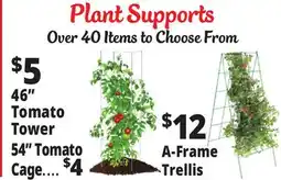 Ocean State Job Lot Plant Supports offer