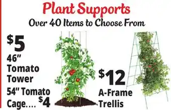 Ocean State Job Lot Plant Supports offer